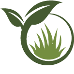 Palmetto Landscaping Service