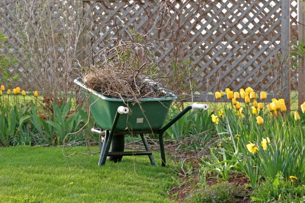 Flower Bed Cleanup Service in Palmetto