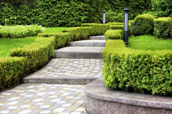 Backyard Remodeling in Palmetto