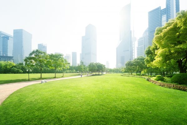 Commercial Landscape Maintenance in Palmetto