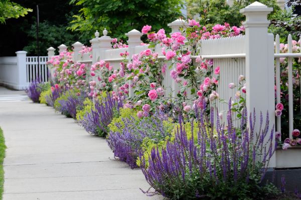 Garden Handyman Service in Palmetto