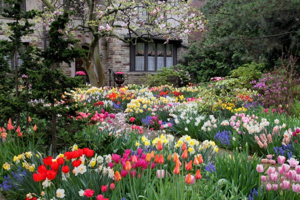 Garden Maintenance Service in Palmetto