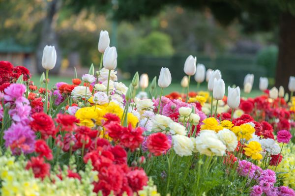 Gardening Service in Palmetto