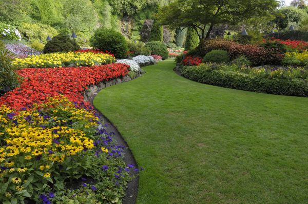 Landscaping Maintenance in Palmetto