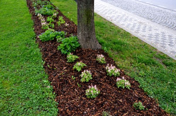 Mulch Replacement Service in Palmetto