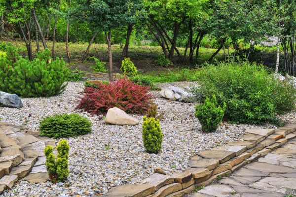 Rock Landscaping in Palmetto
