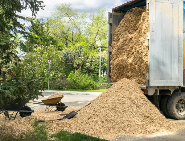 Wood Chips Delivery in Palmetto
