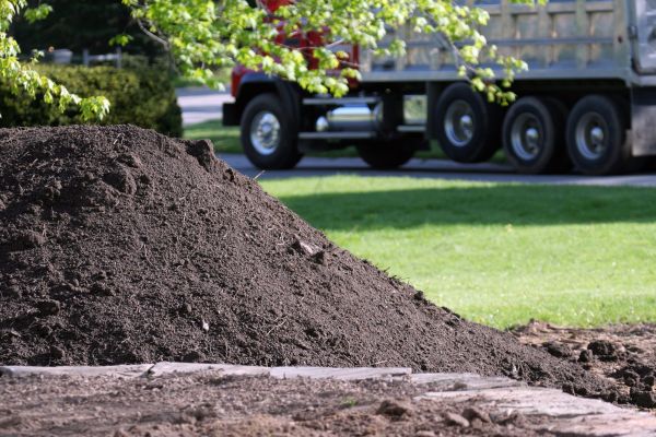 Yard Dirt Delivery in Palmetto