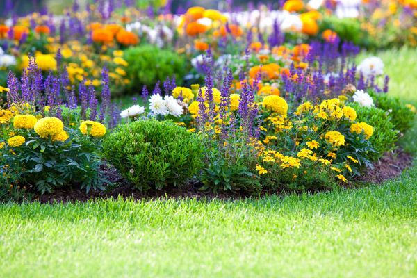 Garden Installation in Palmetto