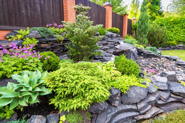 Landscape Remodeling in Palmetto