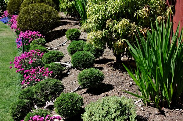 Residential Gardening in Palmetto