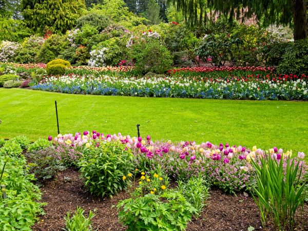 Residential Landscape Design in Palmetto