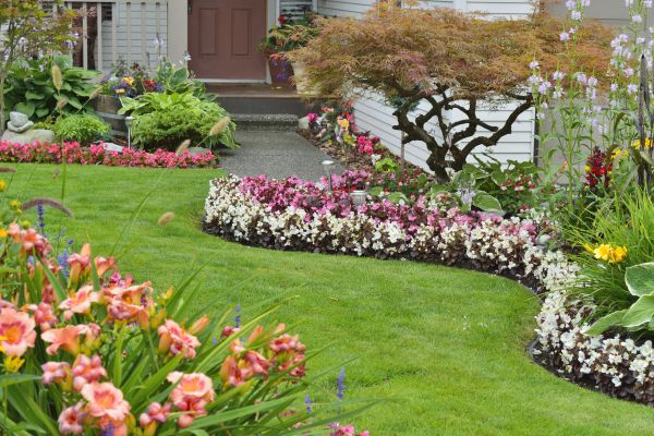 Perennial Landscaping in Palmetto
