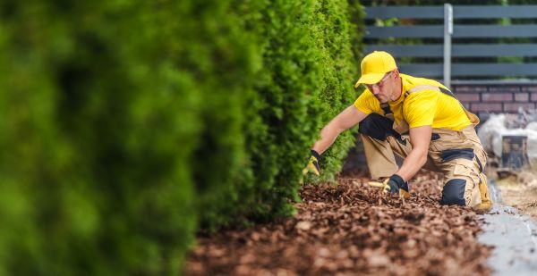 Cypress Mulch Installation in Palmetto