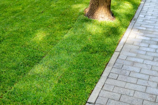 Border Stone Installation in Palmetto