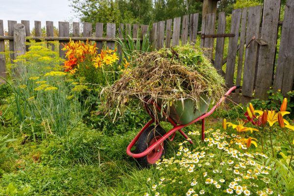 Garden Cleanup Service in Palmetto