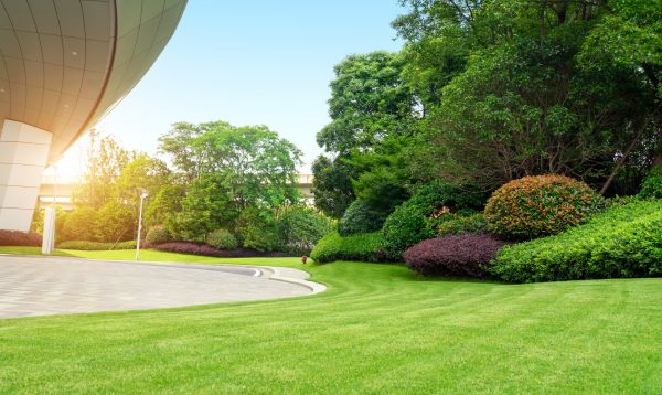 Business Landscape Design in Palmetto