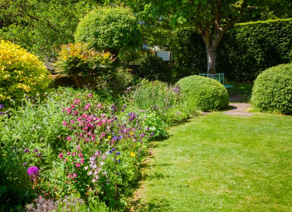 Yard Landscaping Service in Palmetto