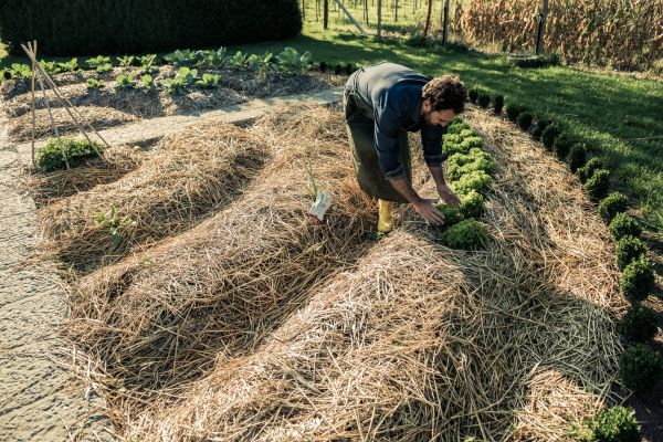 Straw Mulching Service in Palmetto