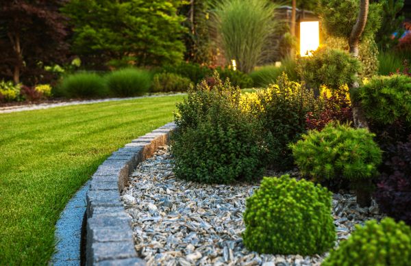 Landscaping Service in Palmetto