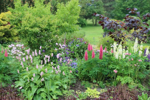 Flower Bed Planting in Palmetto