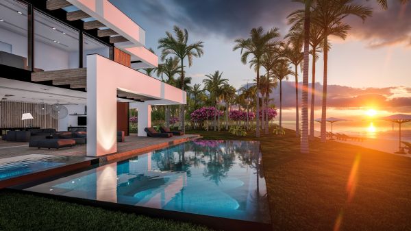 Coastal Landscaping in Palmetto