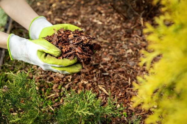 Garden Mulch Delivery in Palmetto