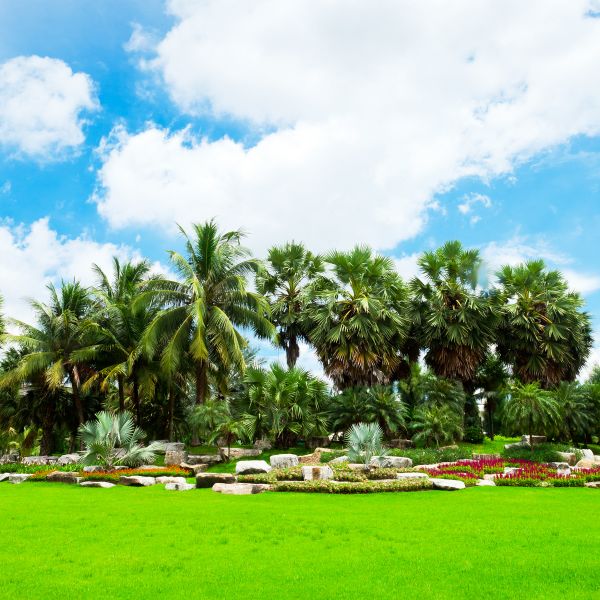 Tropical Landscaping in Palmetto