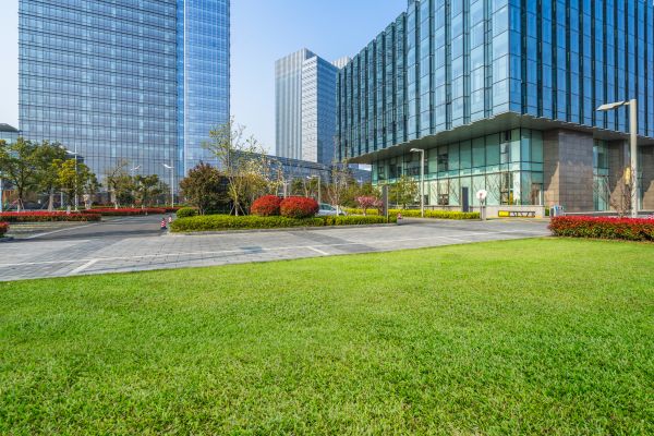 Industrial Landscaping Service in Palmetto
