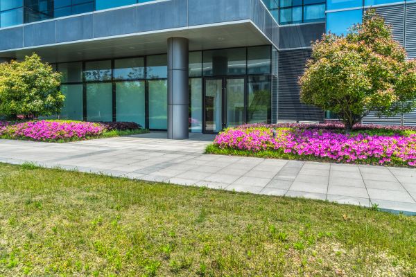 Commercial Gardening in Palmetto