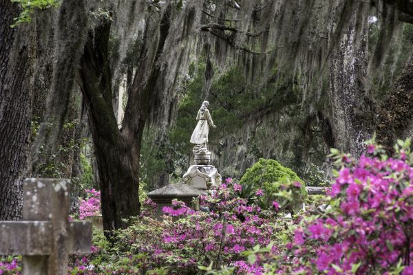 Cemetery Landscaping in Palmetto
