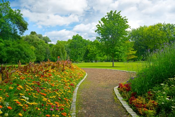 Park Landscaping in Palmetto