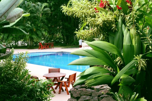 Tropical Garden Landscaping in Palmetto
