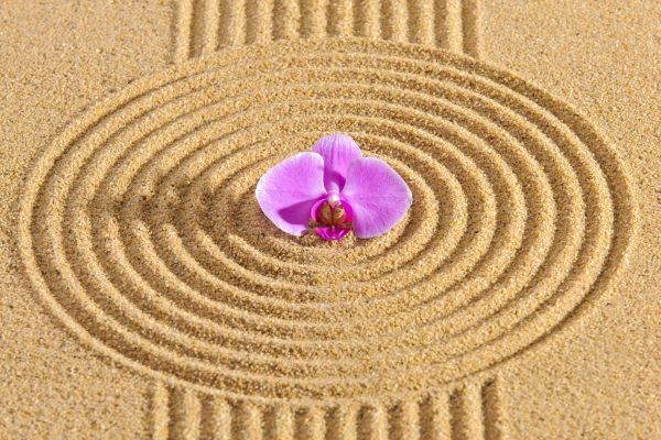 Sand Garden Landscaping in Palmetto