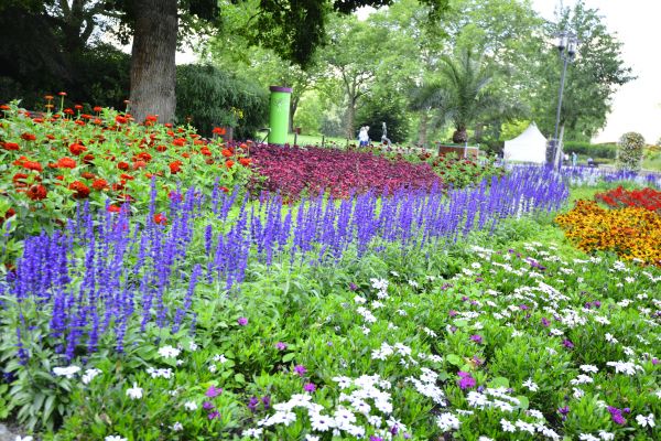 Perennials Planting in Palmetto