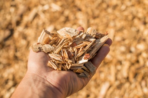 Wood Chips Spreading in Palmetto