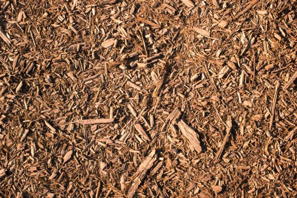 Wood Chips Removal in Palmetto