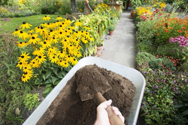Topsoil Replacement in Palmetto