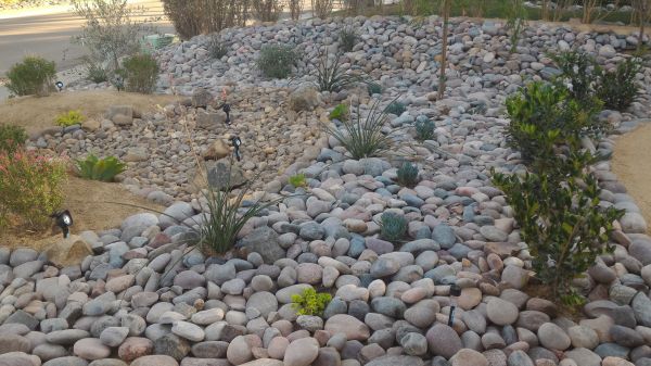 Yard Xeriscaping in Palmetto