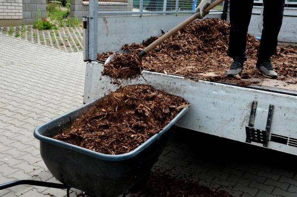 Cedar Mulch Delivery in Palmetto
