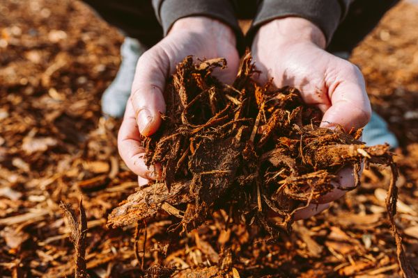 Bark Chips Delivery in Palmetto