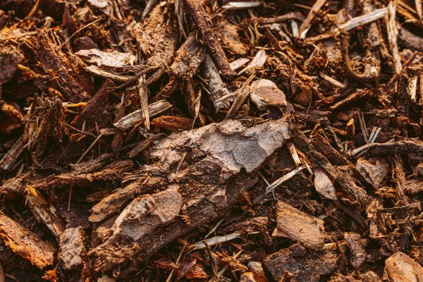 Bark Mulch Delivery in Palmetto