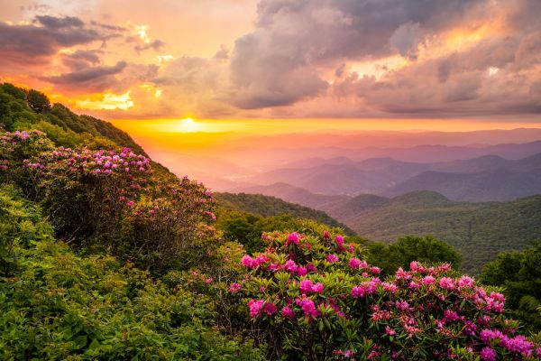 Hill Landscaping in Palmetto
