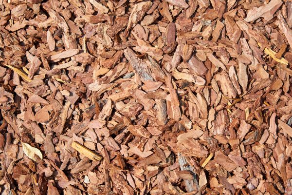 Pine Mulch Spreading in Palmetto