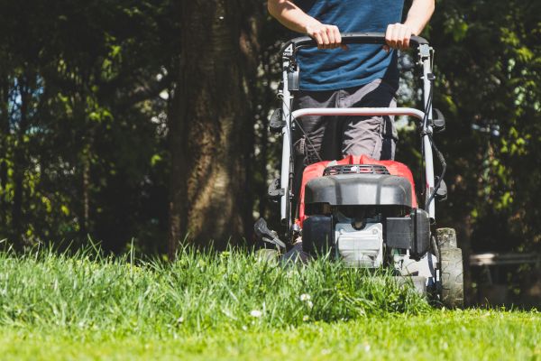 Garden Trimming Service in Palmetto