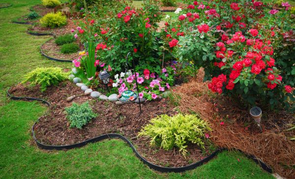 Floral Landscaping in Palmetto
