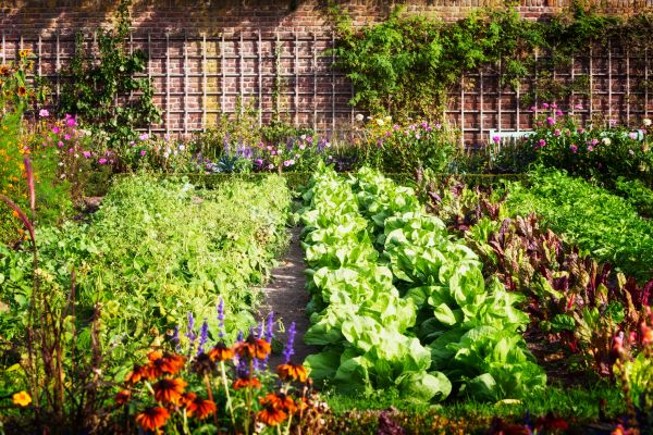 Garden Planting Service in Palmetto