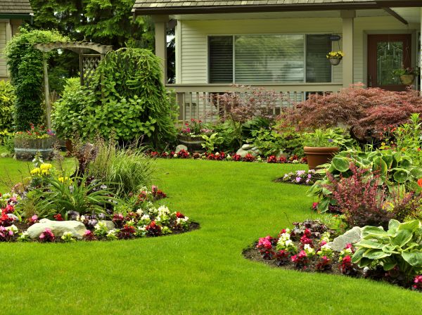 Flower Garden Planting in Palmetto
