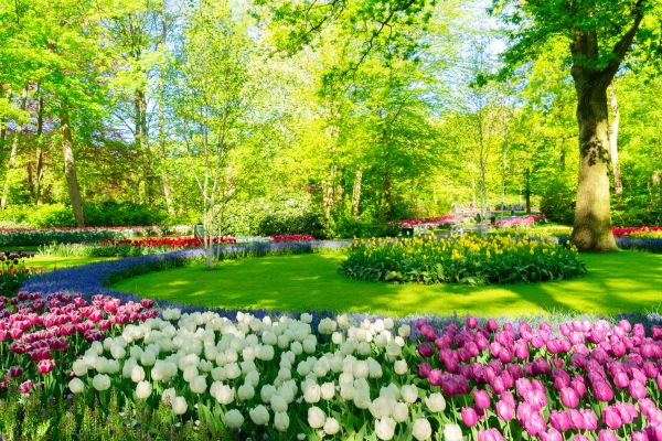 Flower Landscaping in Palmetto