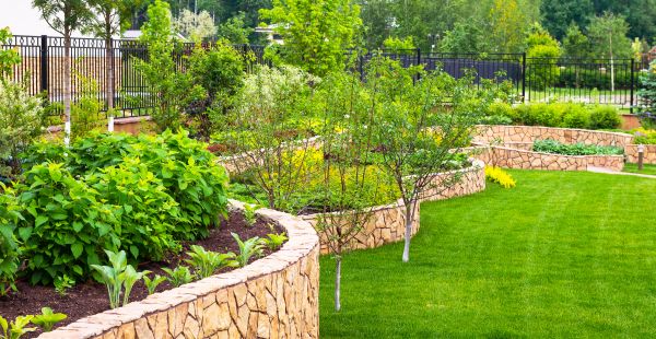 Yard Makeover Service in Palmetto
